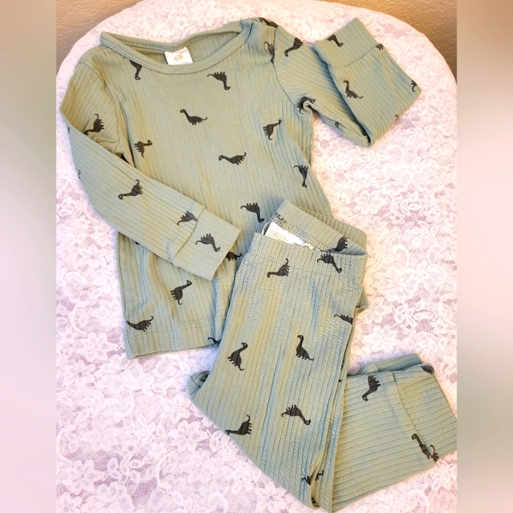 H&M Pale Green Dinosaur Jammies (9mths)